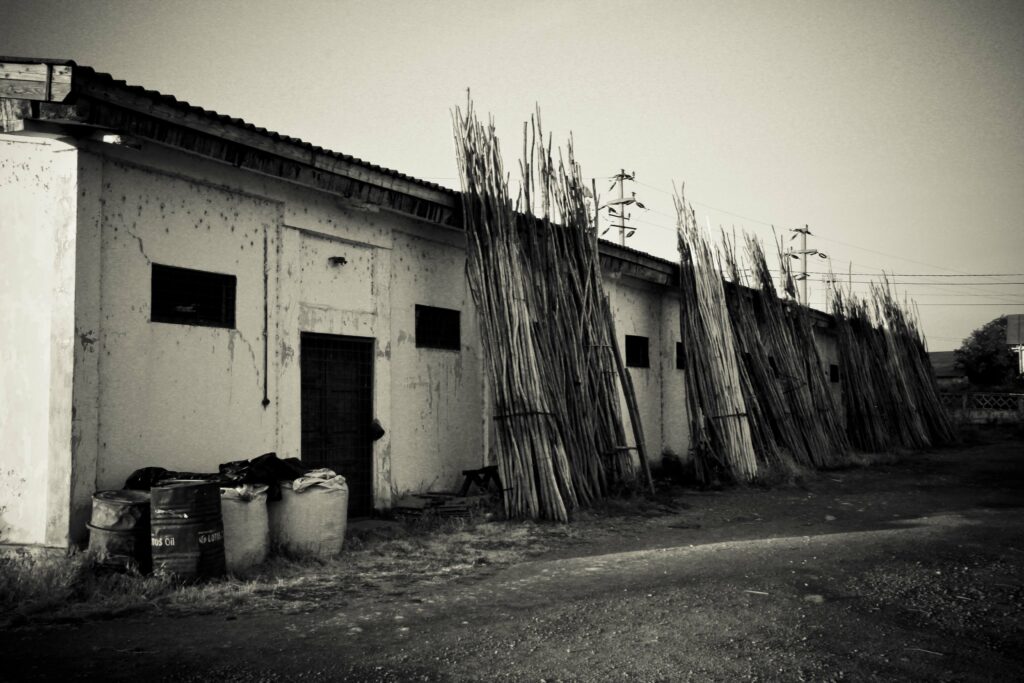 IMG_3020